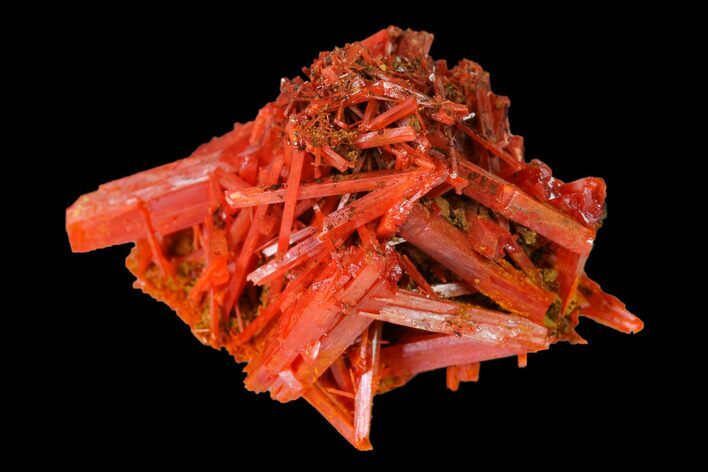 Bright Orange Crocoite Crystal Cluster - Tasmania #171663